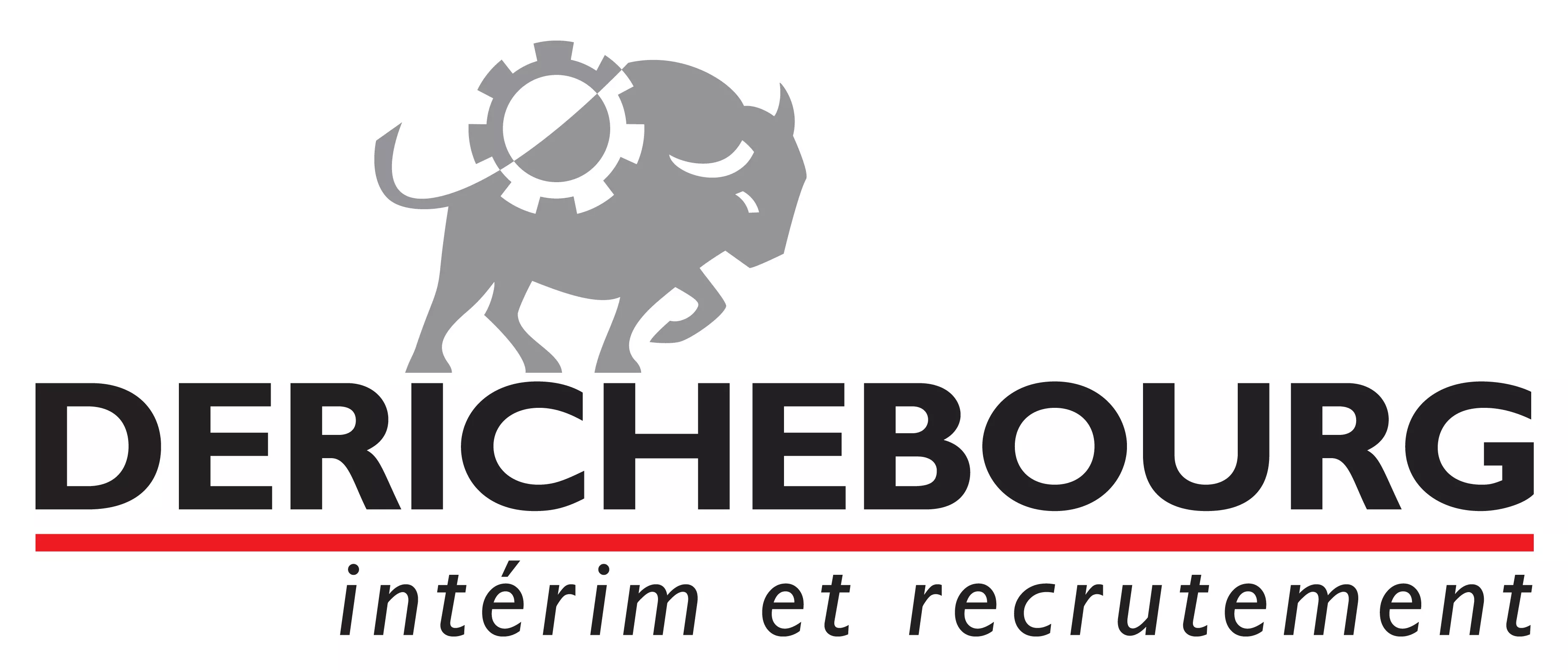 Logo Derichebourg