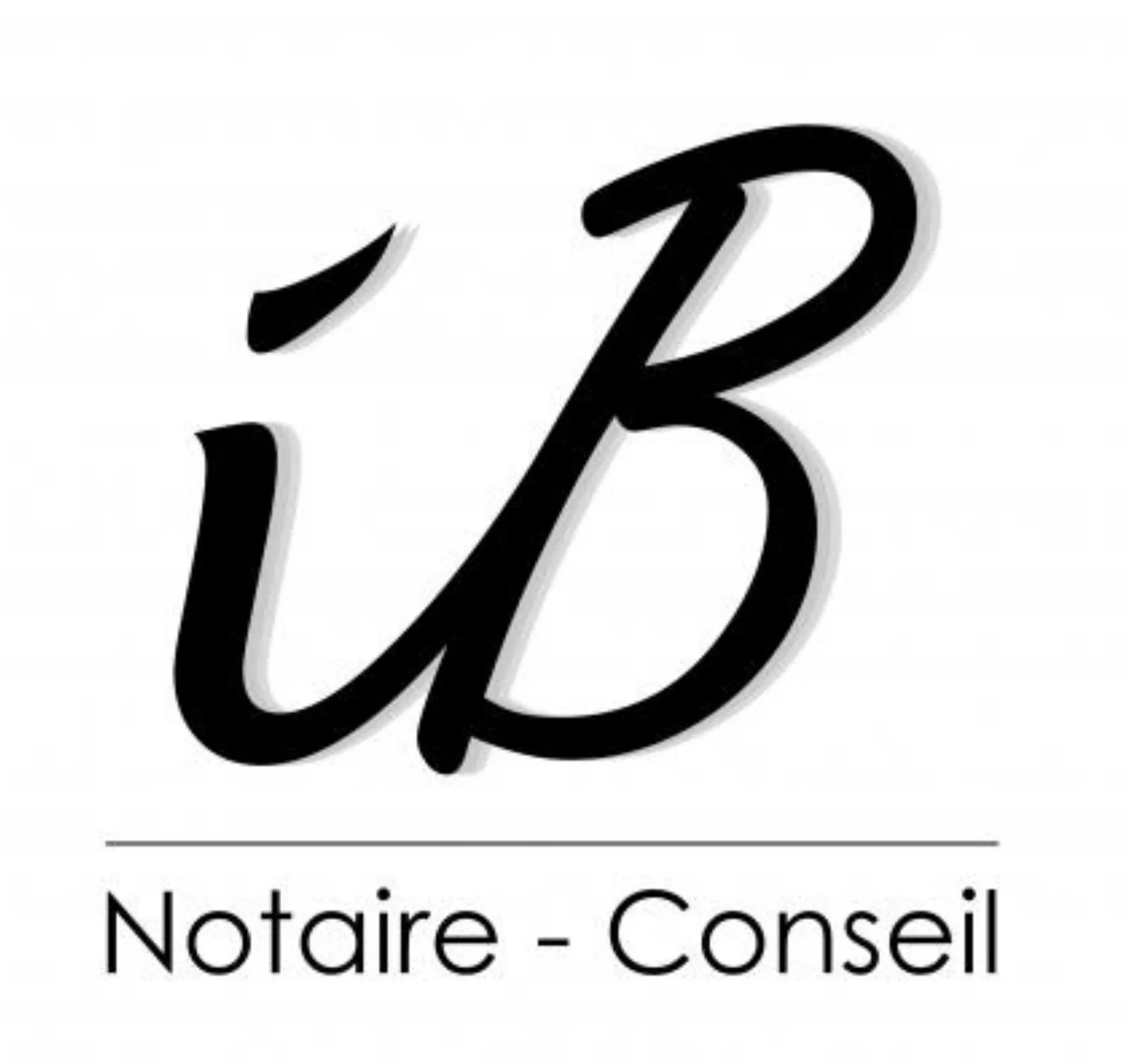 Logo Ingrid Berthier